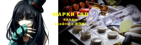 индика Нея