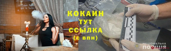 индика Нея