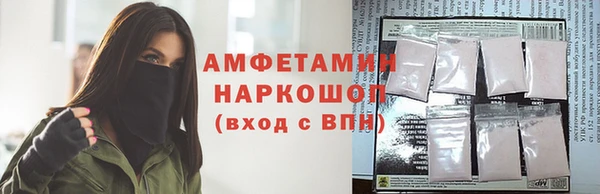 индика Нея