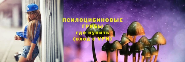 спиды Горняк