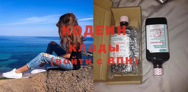 индика Нея