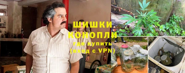 индика Нея