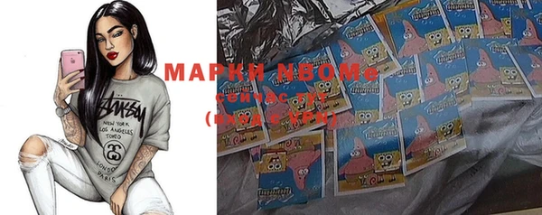 индика Нея