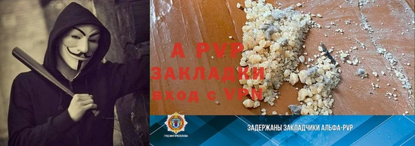 индика Надым