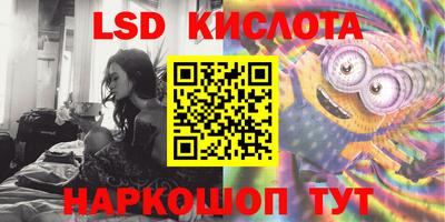 стаф Заводоуковск