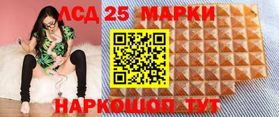 шишки Заволжье