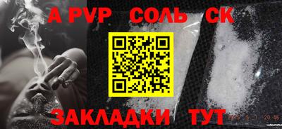 шишки Заволжье