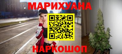 шишки Заволжье