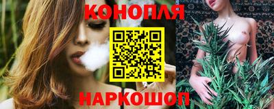 стаф Заводоуковск