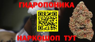 шишки Заволжье