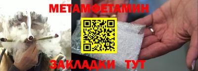 шишки Заволжье